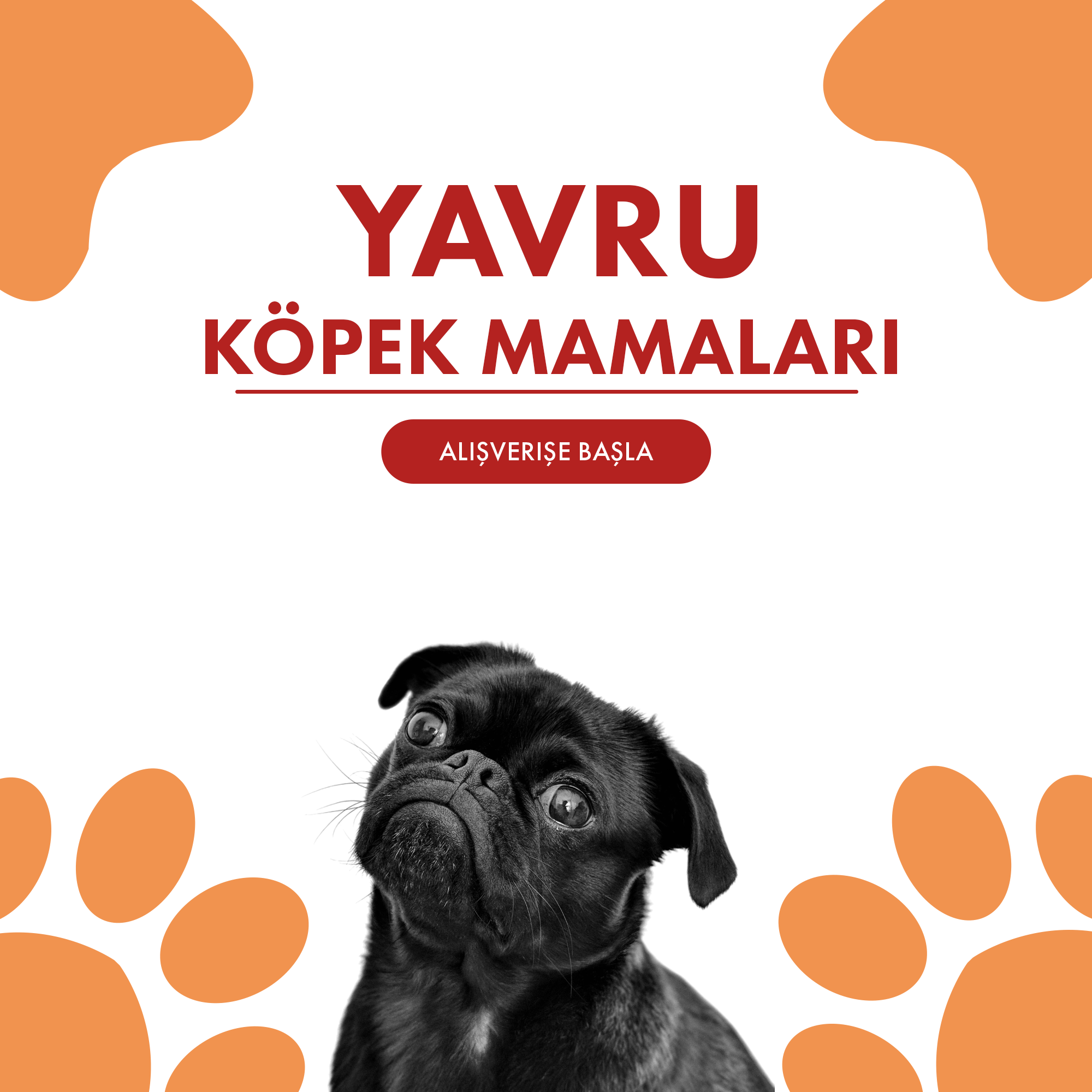 Yavru Köpek Mamaları